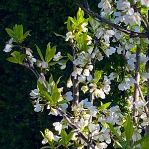 Meet your Posher, Bilyana